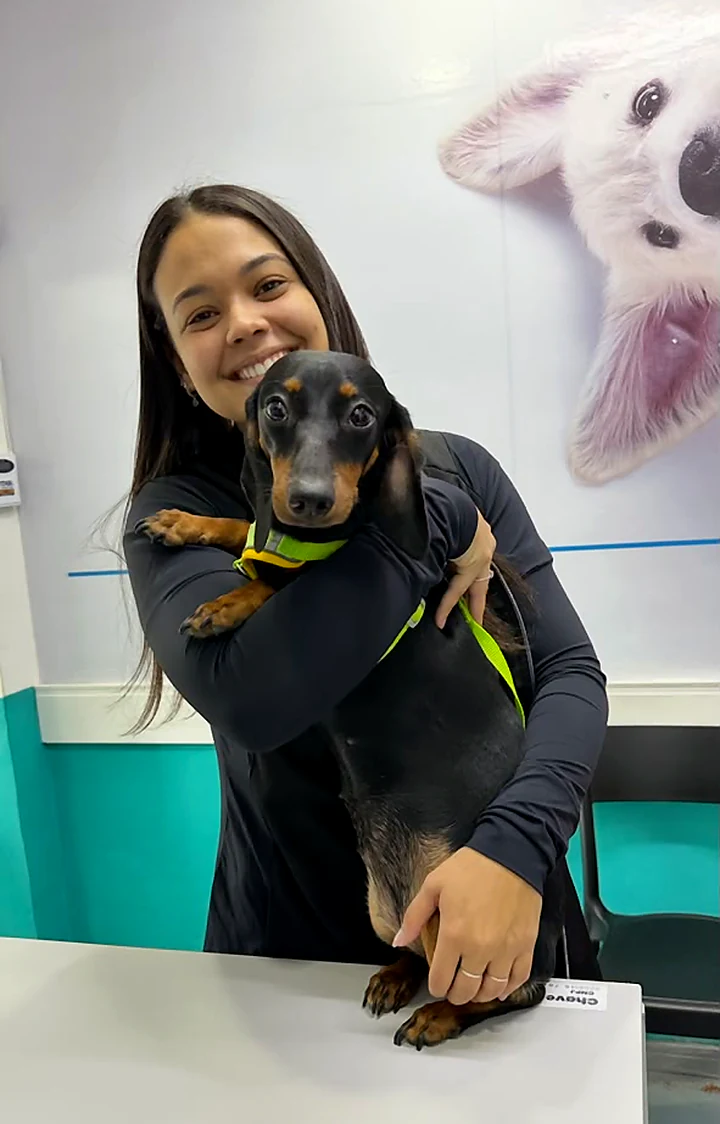 Colaboradora abraçando um dachshund de peitoral verde