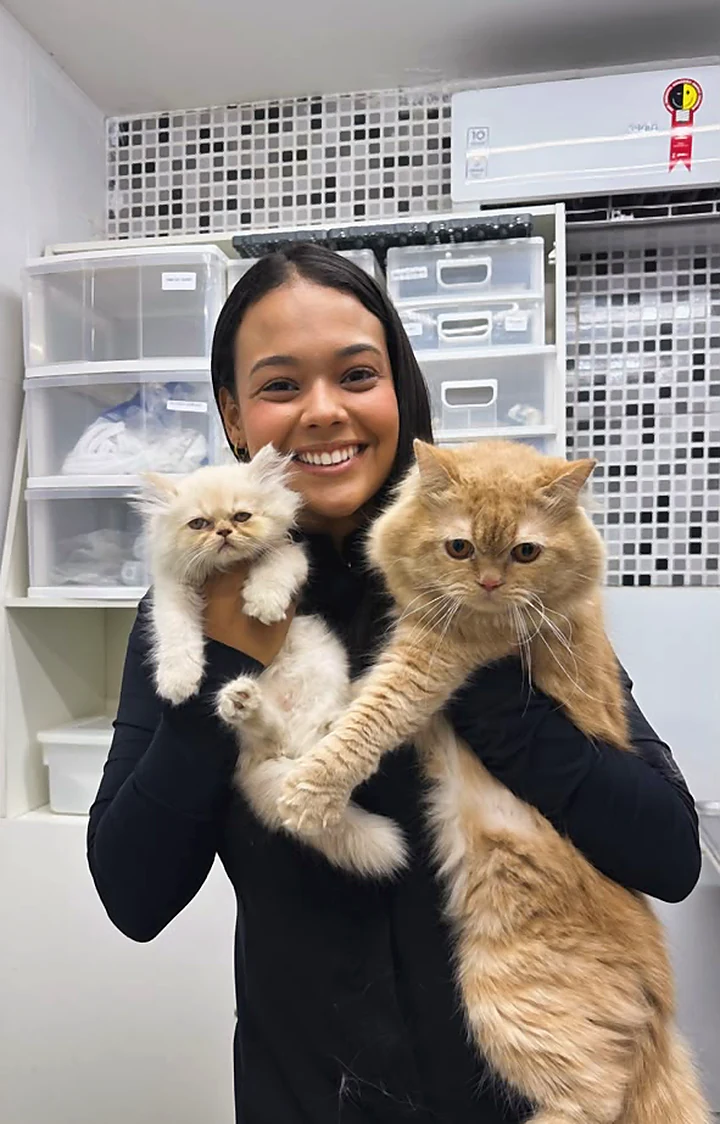Colaboradora da clínica com dois gatos persas no colo